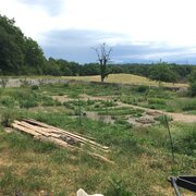 Le jardin potager