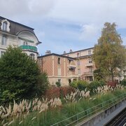 Arbres exotiques