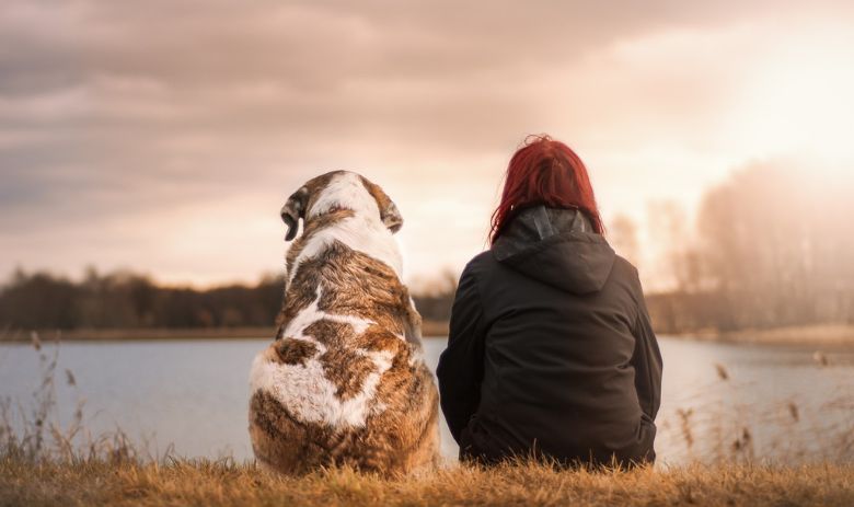 Tiere und Natur Eine Frau und ein Hund sitzen nebeneinander vor einem See.