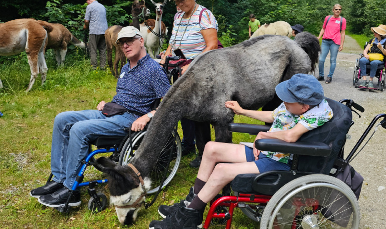 Ferienwochen FRAGILE Zürich Personen mit und ohne Rollstuhl führen Lamas auf einem Weg im Freien.